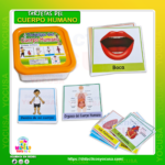 TARJETAS LEXICAS DEL CUERPO HUMANO