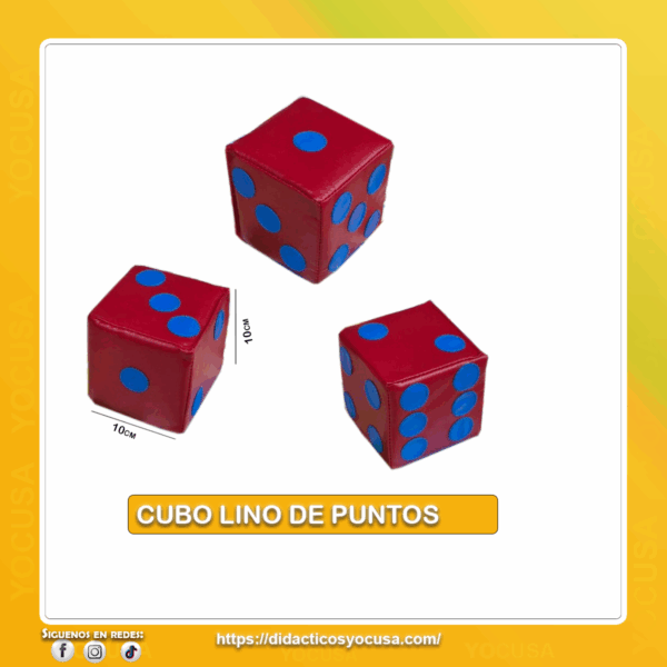 CUBO DE PUNTOS 10X10 CM