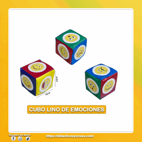 CUBO DE EMOCIONES 10X10