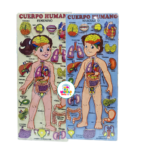 ENCAJE DE MADERA CUERPO HUMANO