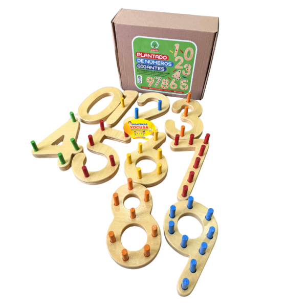PLANTADO DE NUMEROS GIGANTES ARBOLITO -