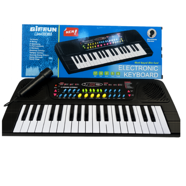 ORGANO MUSICAL CHICO