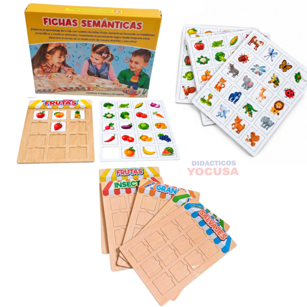 FICHAS SEMANTICAS BRYCARD