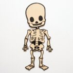 ESQUELETO HUMANO
