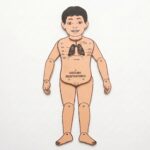 MUÑECO ARTICULABLE RESPIRATORIO HOMBRE
